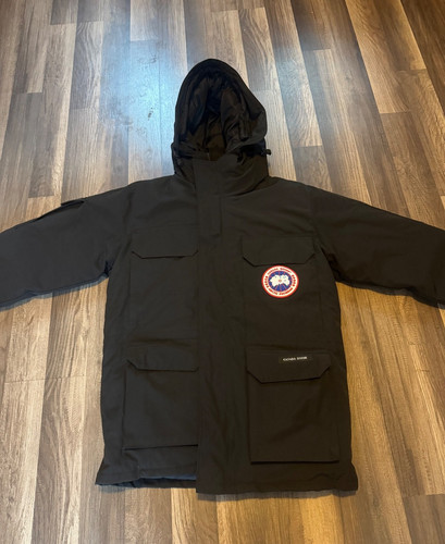 Canada goose expedition - goose,