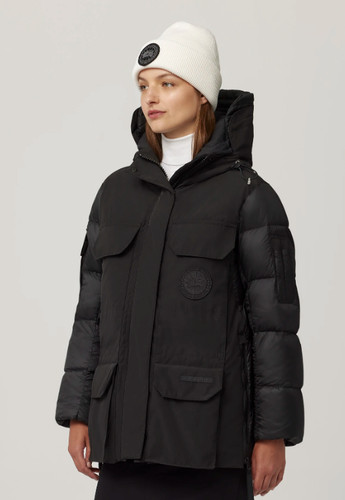 Canada goose paradigm - goose,