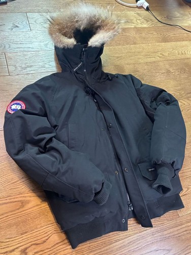 Canada goose chilliwack - goose, bomber
