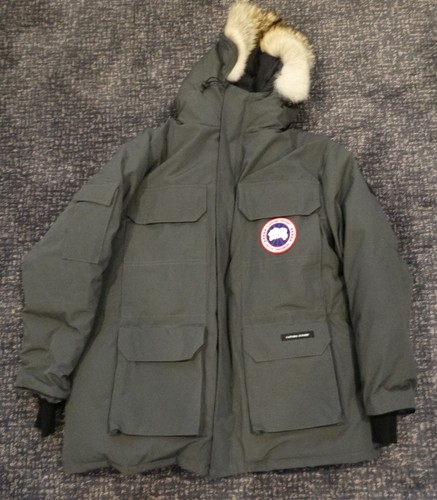 Canada goose expedition - goose,