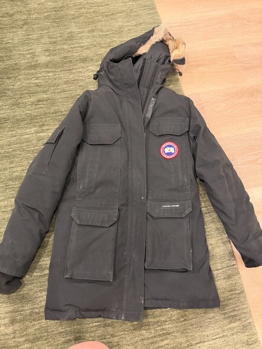 Canada goose black - canada, expedition