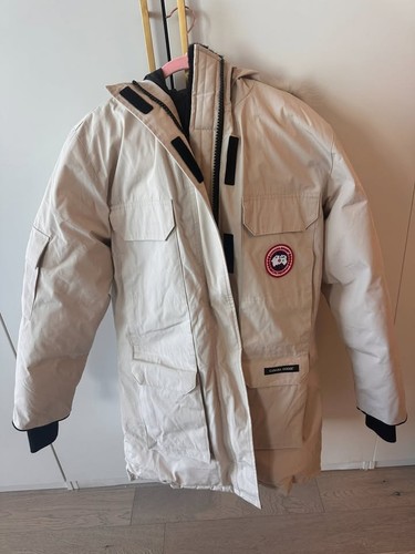 Canada goose expedition - goose,