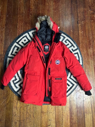 Canada goose expedition - goose,