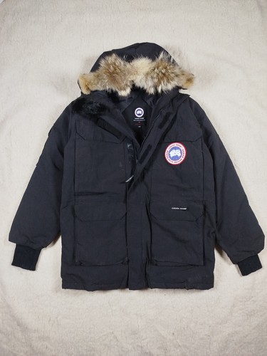Canada goose expedition - goose,