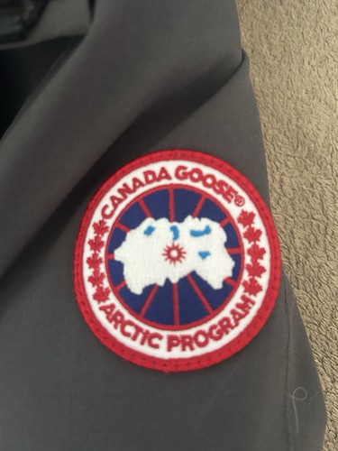 Canada goose arctic - goose,
