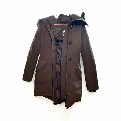 Canada goose arctic program - canada,