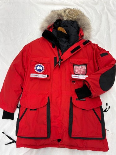 Excellent red canada goose - excellent,